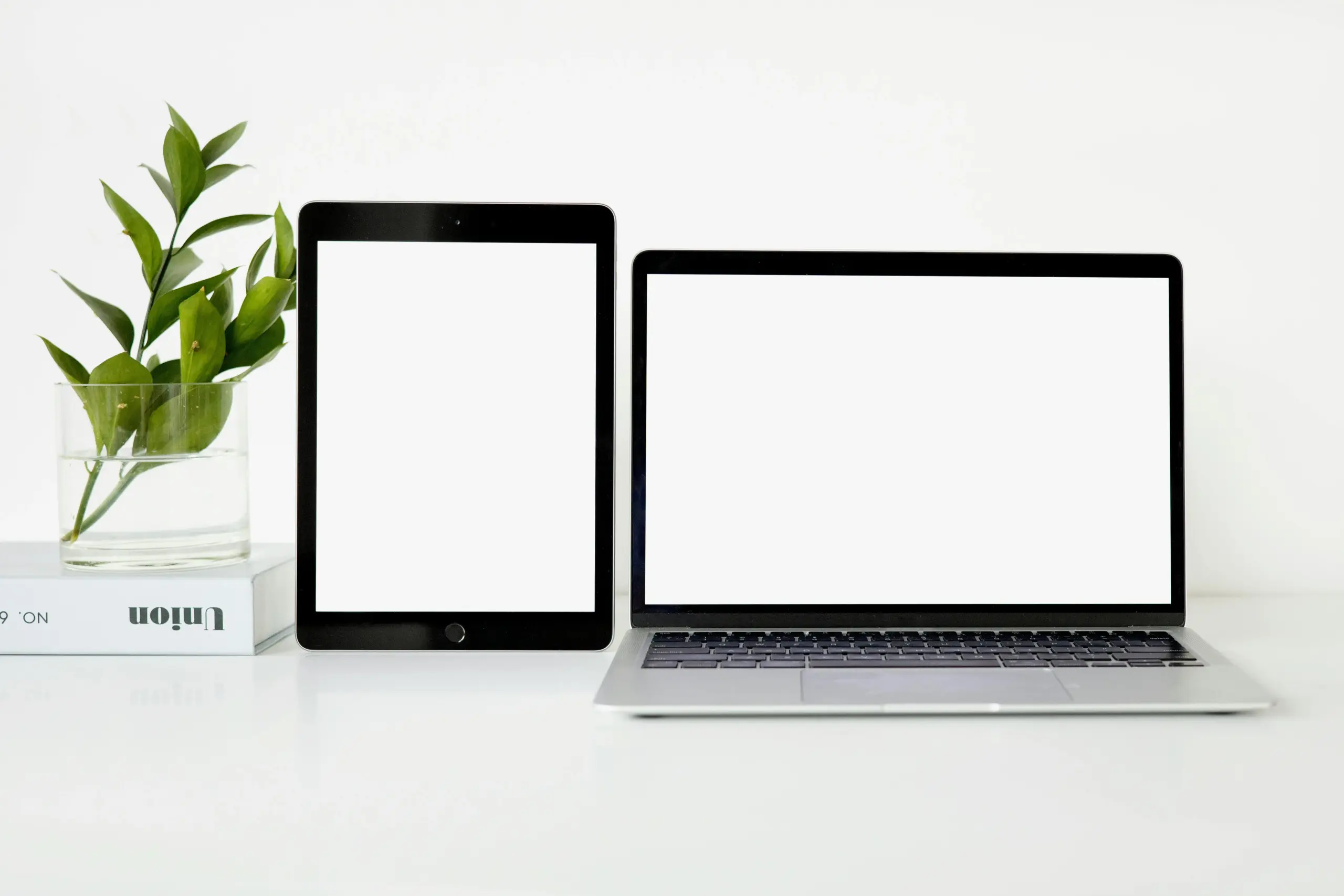 Écran blanc WordPress : guide express pour retrouver l’accès à votre site